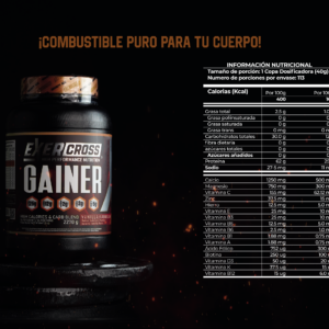 PROTEINA GAINER