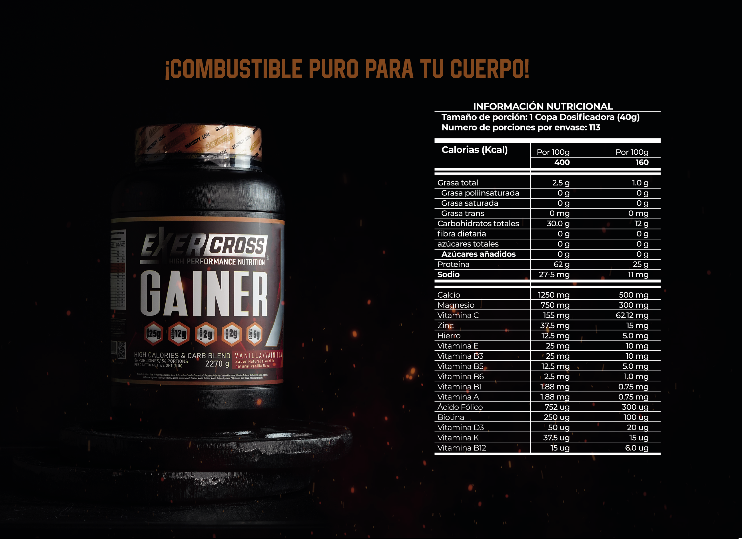 PROTEINA GAINER